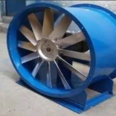 WhatsApp Image 2026-03-02 at 11.03.25 AM