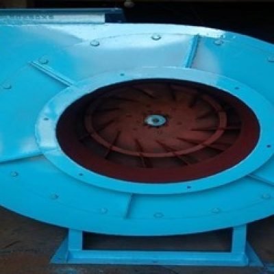 WhatsApp Image 2026-03-02 at 12.00.41 PM