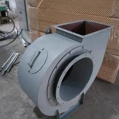 WhatsApp Image 2026-03-02 at 12.01.56 PM